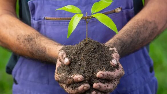 AstraPay Tanam 5.000 Pohon di Garut untuk Dukung Emisi Nol 2060 68e0c0e4d78fe